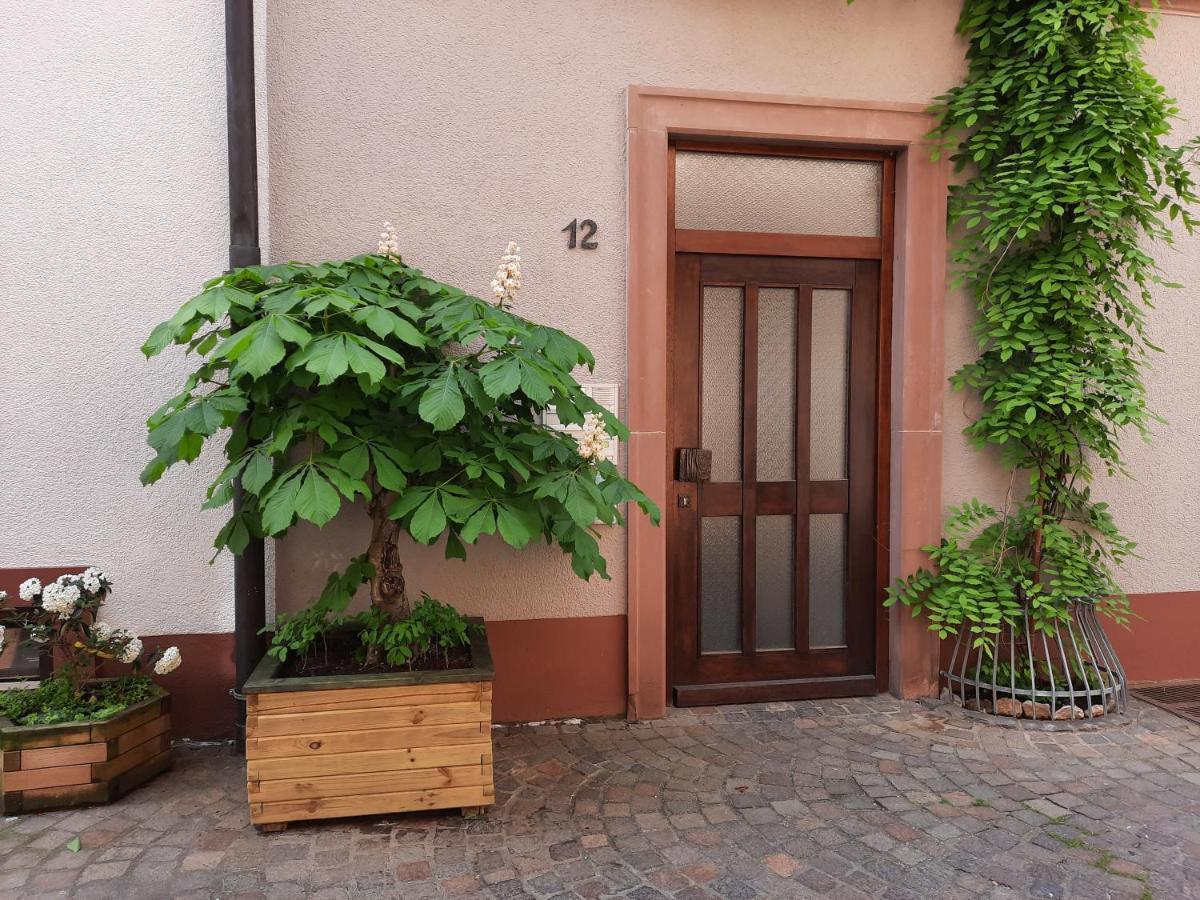 Alte Bahnhofstrasse 12 Apartment Karlstadt Exterior photo